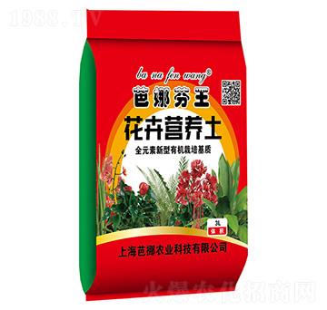 ���ܠI�B(y��ng)��-���ȷ���-܊�S�r�I(y��)