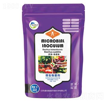 ΢�������-��΢��������-ʢ��¡��