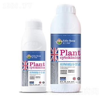 ֲ�：��������-�۶�����