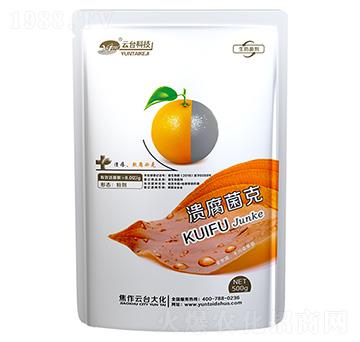 ��������-���_(t��i)��