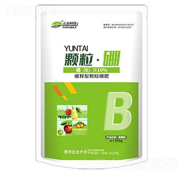 �w������-���_��