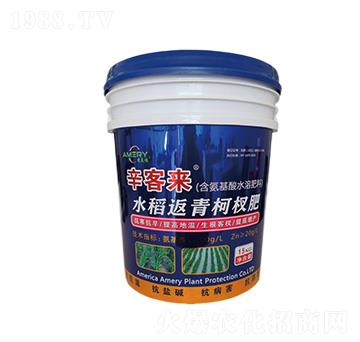 ˮ�������辷�-���́�-������