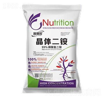 5kg���w���@-���°�