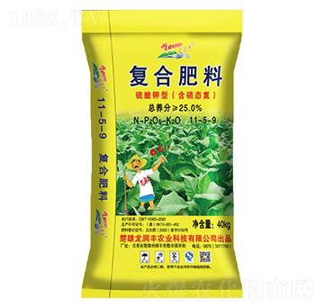 ������͏ͺϷ�11-5-9-�����S