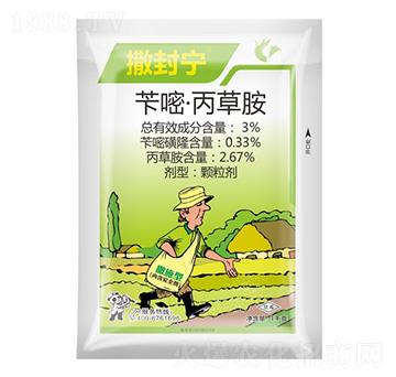 3%�S�ס����ݰ�-���⌎-����¡����