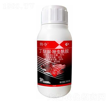 40%�����塤���x����-��(sh��)�Z-����¡����