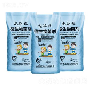 ΢�������-������-����