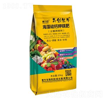 ������}��V��(�����{�턩)-������-�Ą�(chu��ng)��ţ