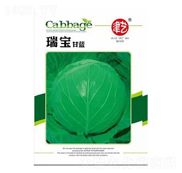 ���{(l��n)�N��-�������{(l��n)-���S�r(n��ng)�I(y��)