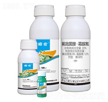 20%����������˪����-˪��-��������