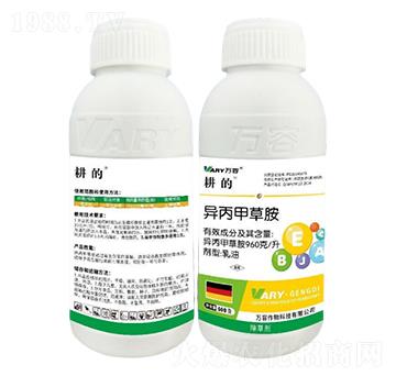 960��/�������ײݰ�-����-�f��