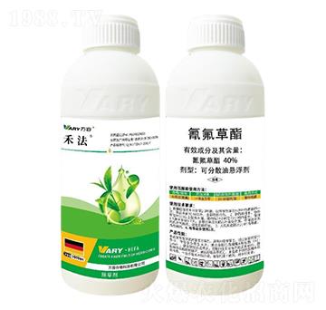 40%�������-�̷�-�f��