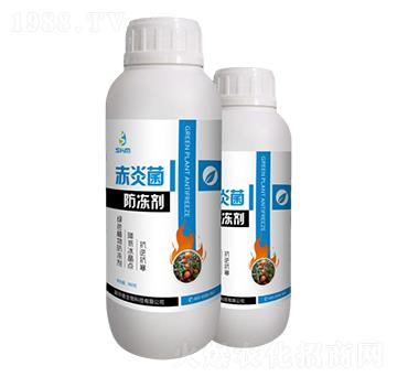 ���׾�-������-���A��