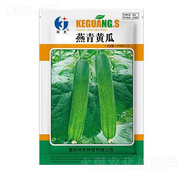 �����S��-�ƹ�N��