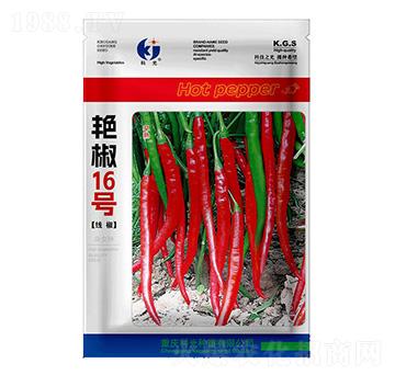 �G��16̖(h��o)-�ƹ�N��