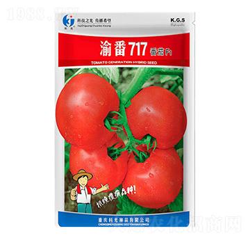 �巬717-�ƹ�N��