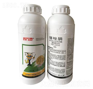 20%�����-��(xi��n)�f(w��n)�`-��������