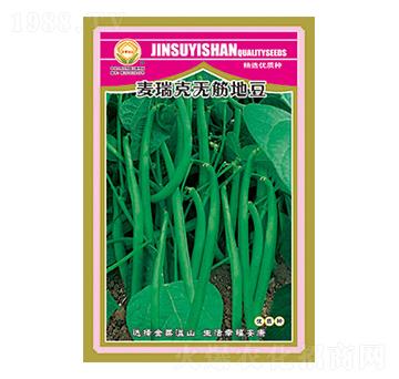 �����N��-����˟o��ض�-̫���N�I(y��)