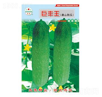 �S�ϷN��-���S��-̫���N�I(y��)