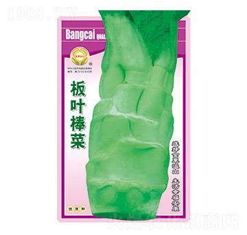 ���˷N��-���~����-̫���N�I(y��)