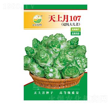 ���˷N��-������107-̫���N�I(y��)