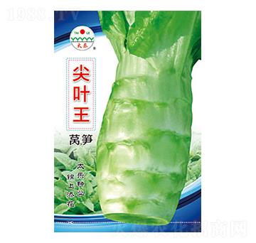 �n�S�N��-���~��-̫���N�I(y��)