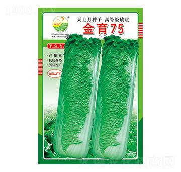 �ײ˷N��-����75-̫���N�I(y��)