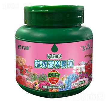 �����ͼ�ͥ�@ˇ��ጠI(y��ng)�B(y��ng)�w��-����-�G�ַʘI(y��)