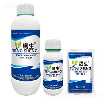 ����֬���S����E-�v��-�õ���