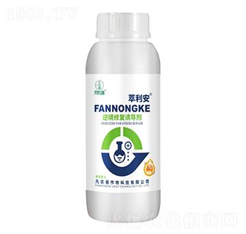 �澳�ޏ��T����-������-���r��